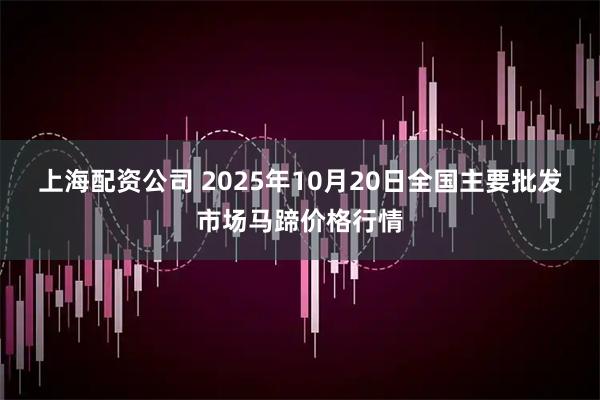上海配资公司 2025年10月20日全国主要批发市场马蹄价格行情